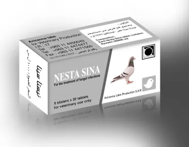 NestaSina