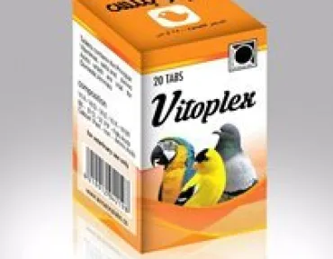 فيتو بلكس - VITO PLEX